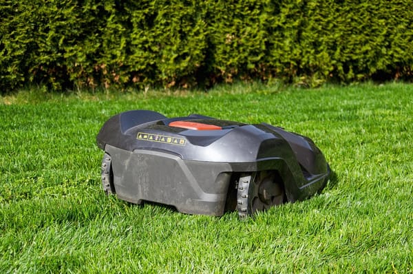 Mähroboter bei Tageslicht verwenden